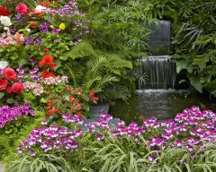 Tapeta Nature Flowers 140.jpg